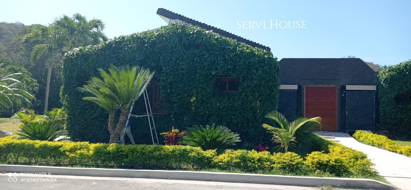 despues jardin diamante con marca de aguas